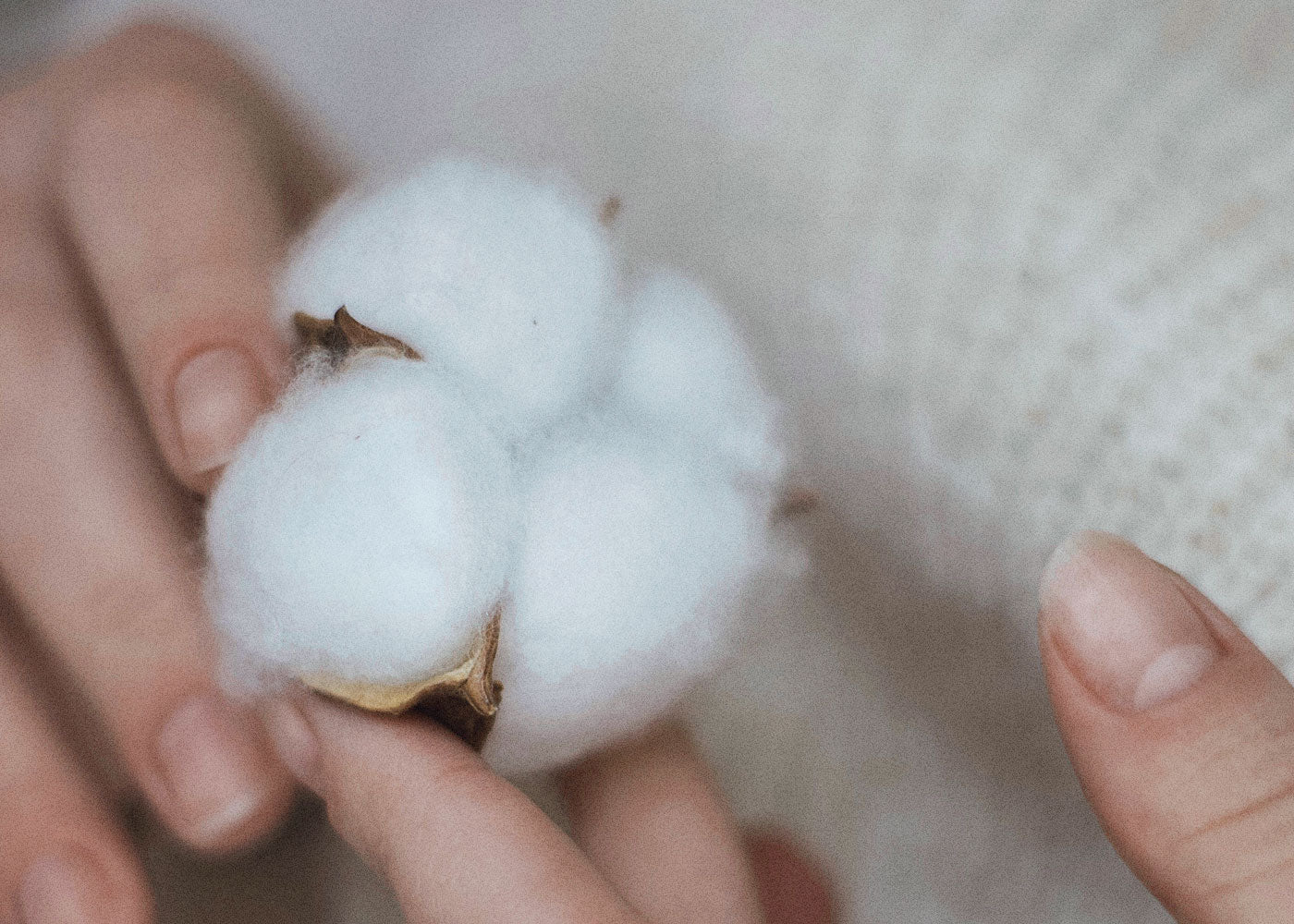 Raw Cotton - Superior for Pillows, Craft, Vapes, Stuffing Dolls